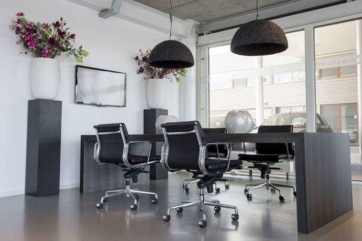 Cây xanh phong thủy thường xuất hiện tại các văn phòng, giúp công việc hanh thông, thuận lợi