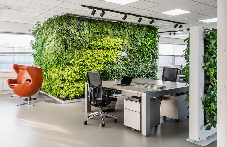 thiết kế văn phòng kết hợp cây xanh